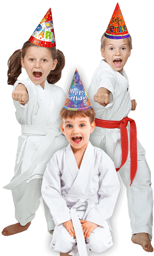 Martial Arts Birthday Party for Kids in Taylor TX - Birthday Punches Page Banner